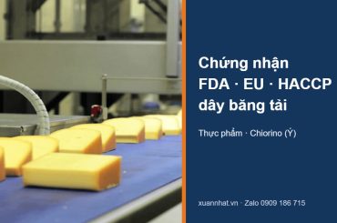 Dây băng tải thực phẩm Chiorino màu xanh chở phô mai, kèm chữ chứng nhận FDA, EU, HACCP