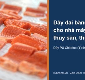 Dây đai băng tải thủy sản Chiorino chở phi lê cá hồi