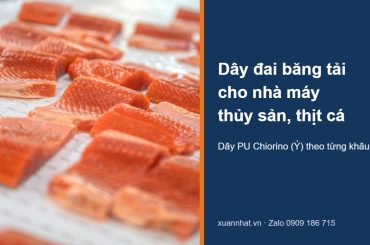 Dây đai băng tải thủy sản Chiorino chở phi lê cá hồi