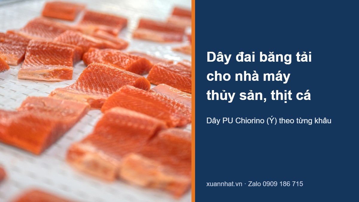 Dây đai băng tải thủy sản Chiorino chở phi lê cá hồi