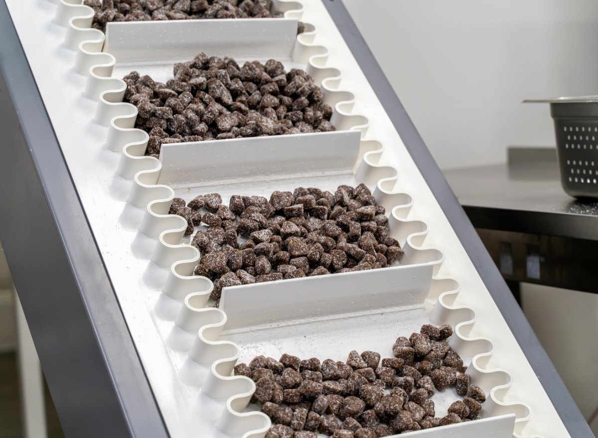 Băng tải Chiorino có gờ ngăn chở kẹo chocolate