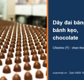 Dây đai băng tải bánh kẹo Chiorino màu trắng chở kẹo chocolate