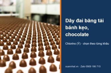 Dây đai băng tải bánh kẹo Chiorino màu trắng chở kẹo chocolate