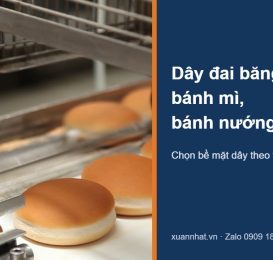 Dây đai băng tải bánh mì Chiorino chở bánh mì tròn ra lò