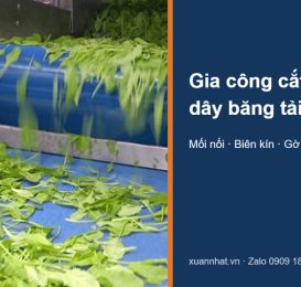 Dây băng tải PU Chiorino có gờ trong dây chuyền rau quả – gia công cắt dán dây băng tải PU
