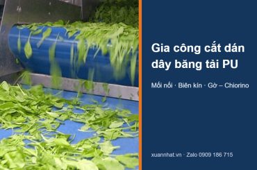 Dây băng tải PU Chiorino có gờ trong dây chuyền rau quả – gia công cắt dán dây băng tải PU
