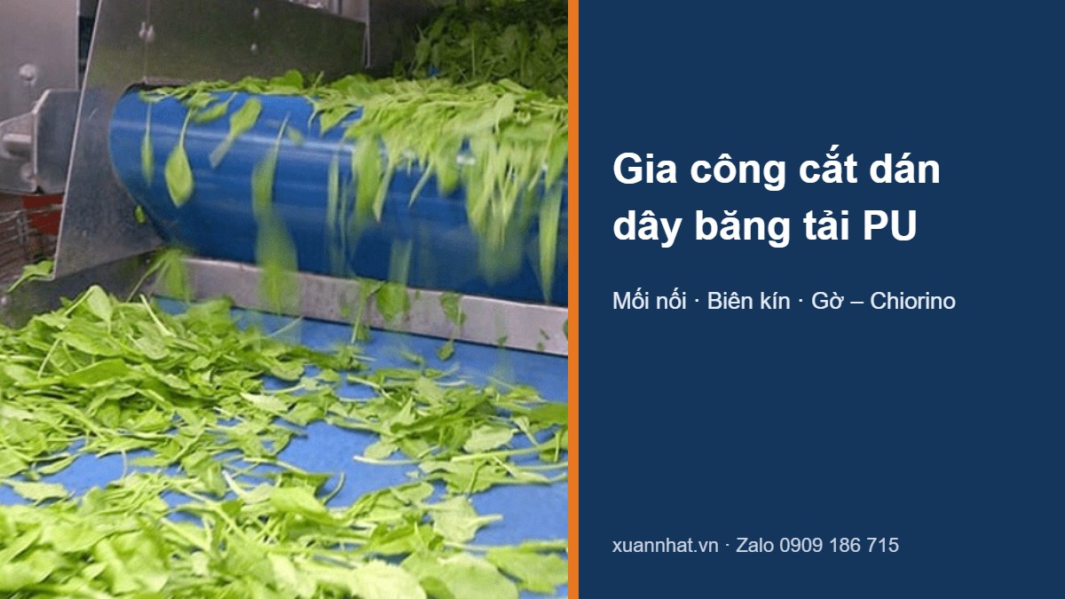 Dây băng tải PU Chiorino có gờ trong dây chuyền rau quả – gia công cắt dán dây băng tải PU