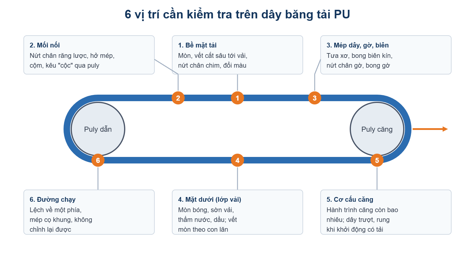 Sơ đồ 6 vị trí cần kiểm tra trên dây băng tải PU: bề mặt, mối nối, mép, mặt dưới, cơ cấu căng, đường chạy