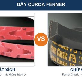 Dây curoa mắt xích Fenner PowerTwist Plus và curoa chữ V Fenner đặt cạnh nhau