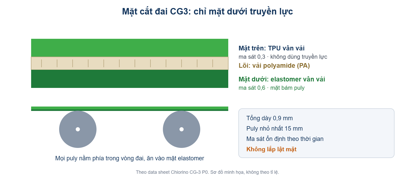 Mặt cắt đai CG3: mặt trên TPU ma sát 0,3, mặt dưới elastomer ma sát 0,6